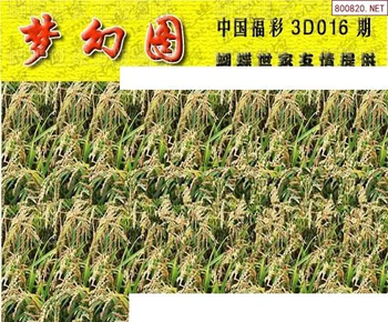 26016期: 3D蝴蝶世家蝴蝶彩图