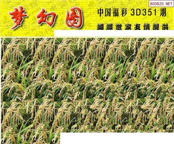 25351期: 3D蝴蝶世家蝴蝶彩图