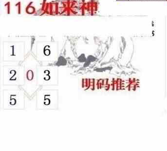 24116期: 白老3D杀码图版