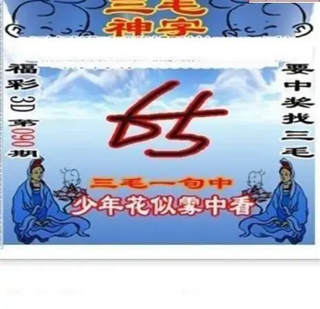 25090期: 三毛3D精品图谜