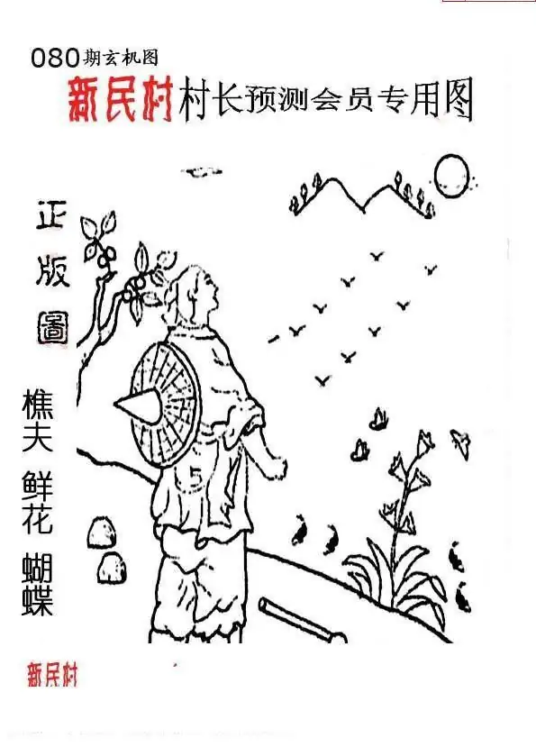 25080期: 老村长福彩3D天天图谜