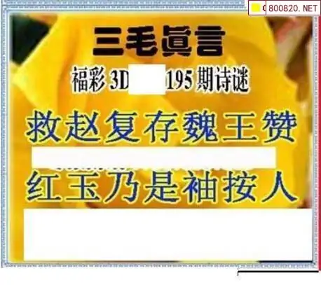 25195期: 三毛3D精品图谜