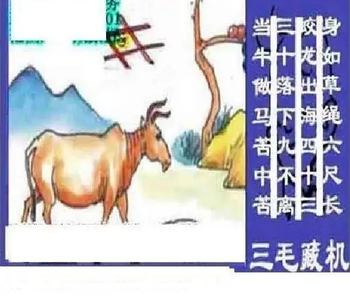 26108期: 三毛3D精品图谜