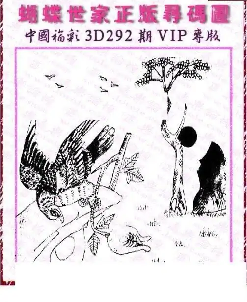 25292期: 3D蝴蝶世家蝴蝶彩图