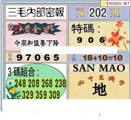 25202期: 三毛3D精品图谜