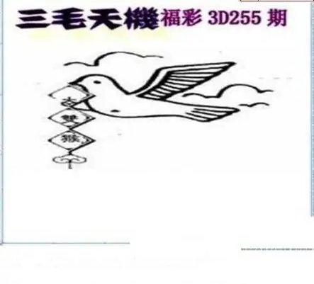 25255期: 三毛3D精品图谜