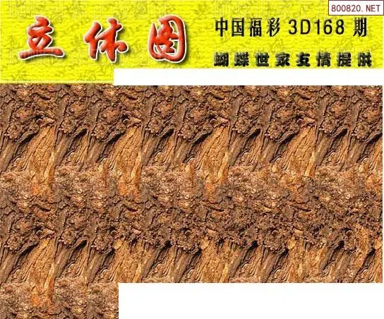 25168期: 3D蝴蝶世家蝴蝶彩图