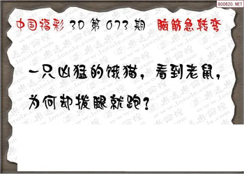 26073期: 3D蝴蝶世家蝴蝶彩图