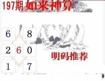 24197期: 白老3D杀码图版