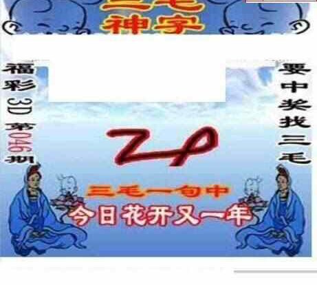 25046期: 三毛3D精品图谜