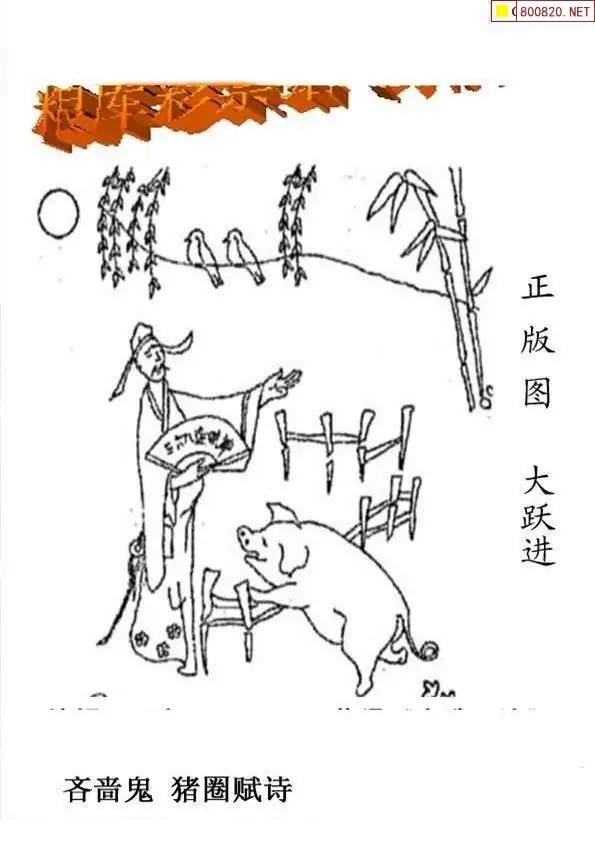 25185期: 老村长福彩3D天天图谜