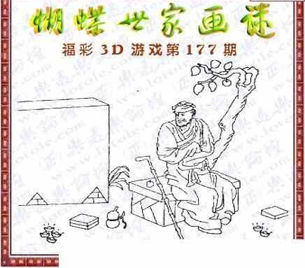 24177期: 3D蝴蝶世家蝴蝶彩图