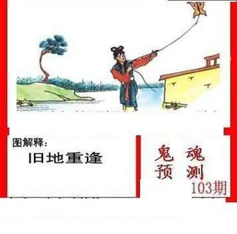 26103期: 白老3D杀码图版