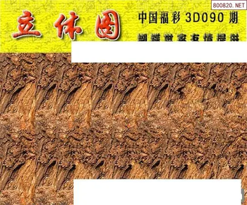 26090期: 3D蝴蝶世家蝴蝶彩图