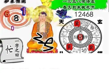 25347期: 白老3D杀码图版