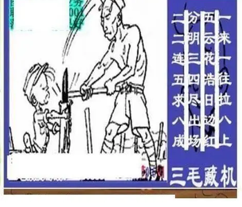 26016期: 三毛3D精品图谜