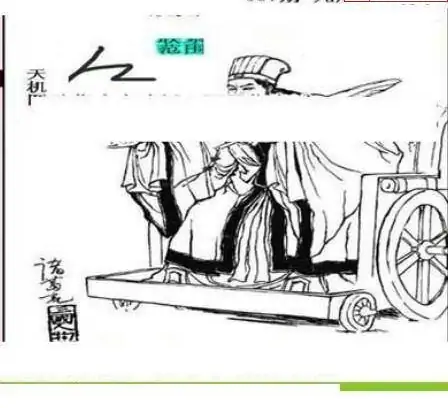 25307期: 三毛3D精品图谜