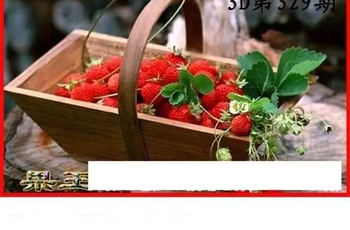 25329期: 白老3D杀码图版