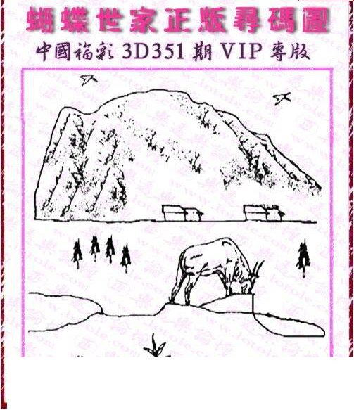 24351期: 3D蝴蝶世家蝴蝶彩图