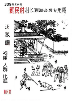 25309期: 老村长福彩3D天天图谜