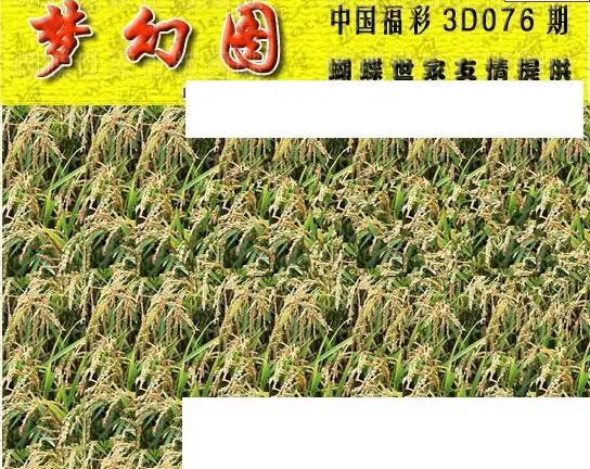 25076期: 3D蝴蝶世家蝴蝶彩图