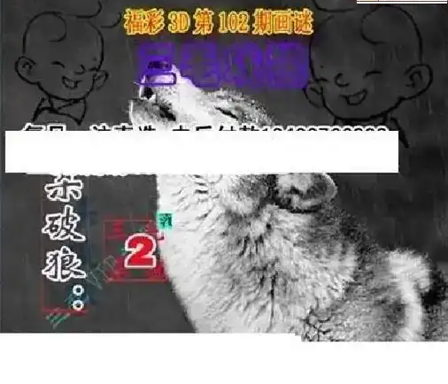 25102期: 三毛3D精品图谜