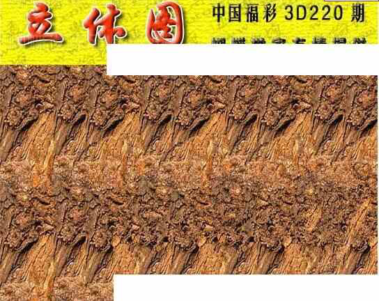 24220期: 3D蝴蝶世家蝴蝶彩图