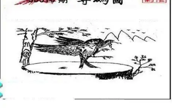 25316期: 三毛3D精品图谜