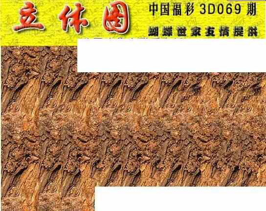 24069期: 3D蝴蝶世家蝴蝶彩图