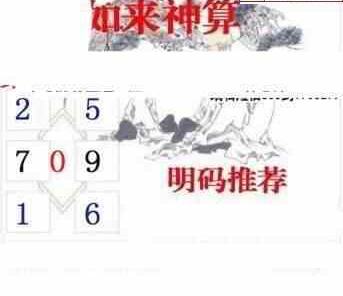 24070期: 白老3D杀码图版