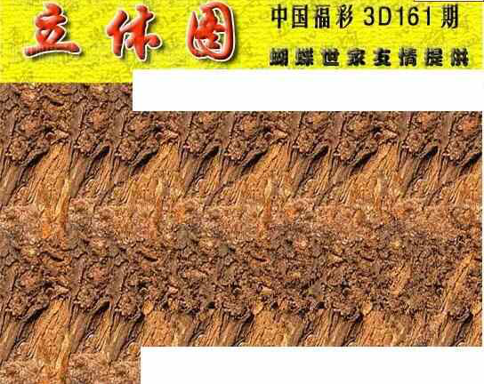 24161��: 3D�������Һ�����ͼ