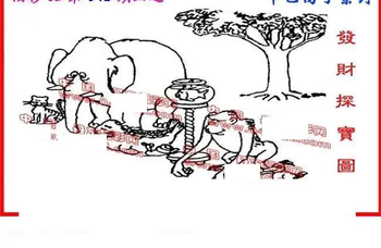 25342期: 福彩3D丹东全图分析