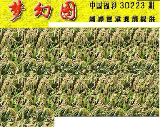 25223期: 3D蝴蝶世家蝴蝶彩图