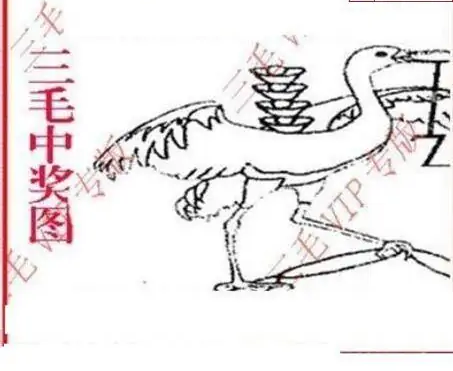 25252期: 三毛3D精品图谜