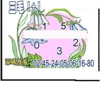 26078期: 三毛3D精品图谜