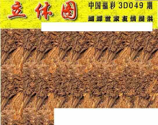 25049期: 3D蝴蝶世家蝴蝶彩图