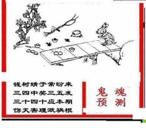 24073期: 三毛3D精品图谜