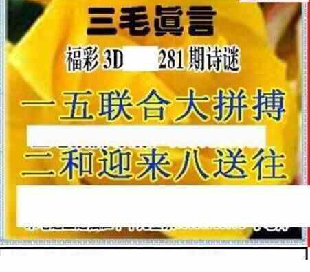 24281期: 三毛3D精品图谜