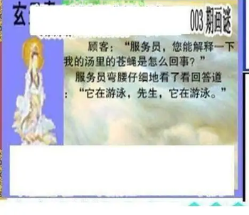 26003期: 三毛3D精品图谜