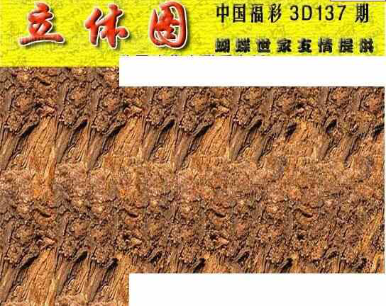 24137期: 3D蝴蝶世家蝴蝶彩图