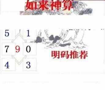 24066期: 白老3D杀码图版