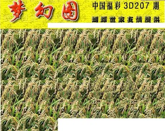 25207期: 3D蝴蝶世家蝴蝶彩图