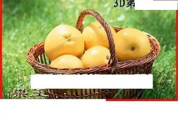 25117期: 白老3D杀码图版