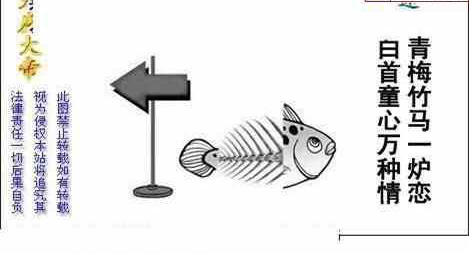 24223期: 白老3D杀码图版