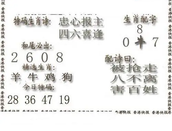 26108期: 白老3D杀码图版