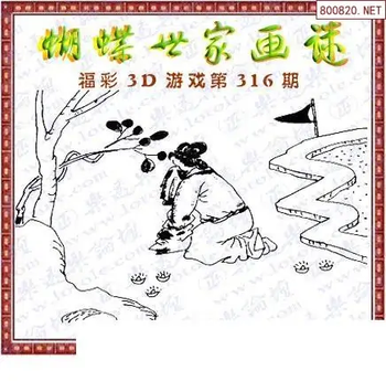 25316期: 3D蝴蝶世家蝴蝶彩图