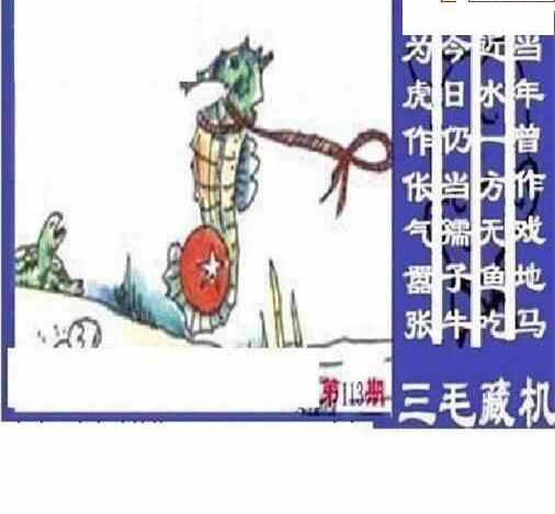 24113期: 三毛3D精品图谜