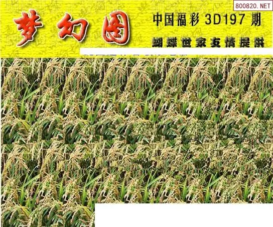 25197期: 3D蝴蝶世家蝴蝶彩图