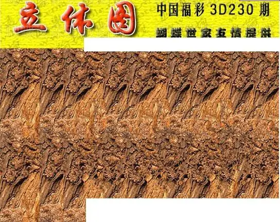 25230期: 3D蝴蝶世家蝴蝶彩图