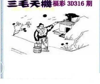 25316期: 三毛3D精品图谜